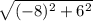 \sqrt{(-8)^2 + 6^2  }
