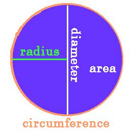 What is a radius of a circle