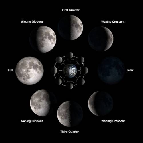 Name the phases of the moon in the correct order starting with new moon