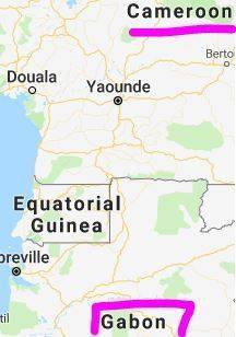 Which two african countries border equatorial guinea?