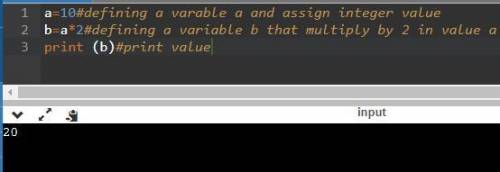 Program code that can be evaluated to a value is called a(n):