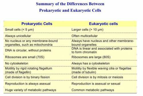 Disadvantages of prokaryotic cells