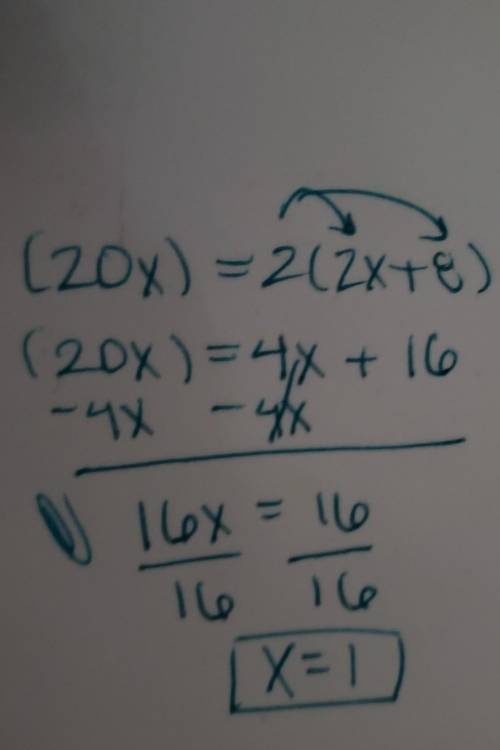 |20x|=2|2x+8|
Please show all steps and both answers