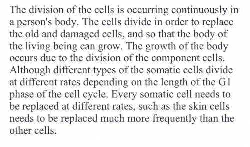 Explain why the rate of cell division differs among different somatic cells.