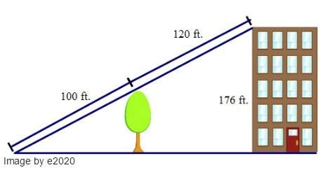 Use the information in the diagram to determine the height of the tree to the nearest foot.  a