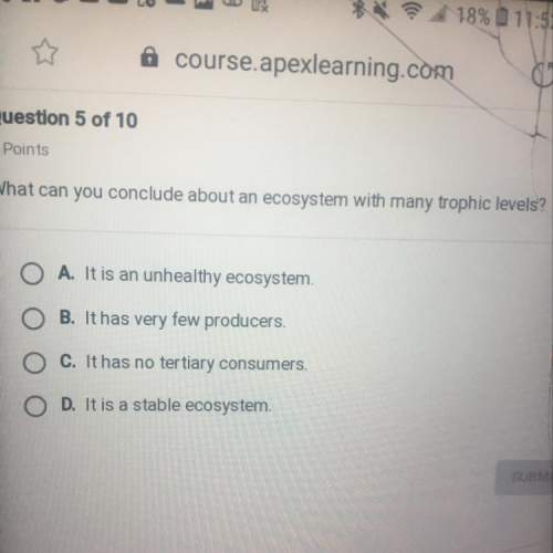What can you conclude about an ecosystem with many trophic levels