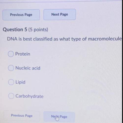 Dna is best classified as what type of macromolecule . ?