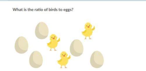 What is the ratio of birds to eggs? choose 1  (choice a) 3 : 4, (choice b) 4 : 3 (choice c)