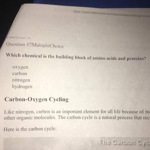 Which chemical is the building block of amino acids and proteins