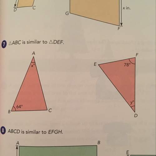 How do you find the value of equal angles y and x?