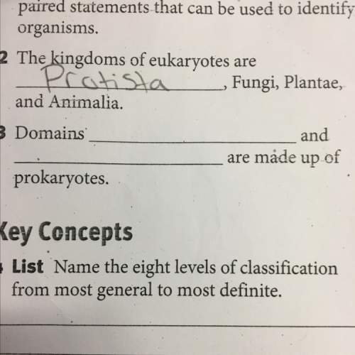 Domains and are made up of prokaryotes