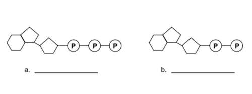 Pl  which correctly describes molecule "a" in this diagram