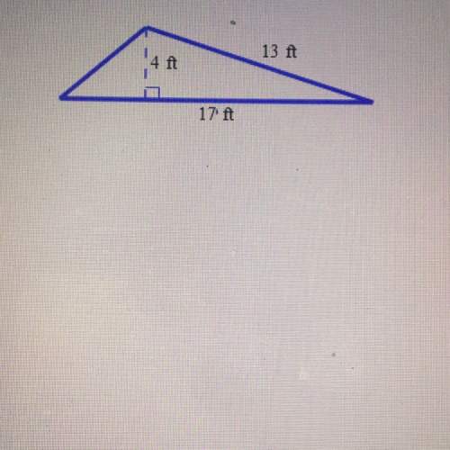 What is the area of the triangle? (pls thx)