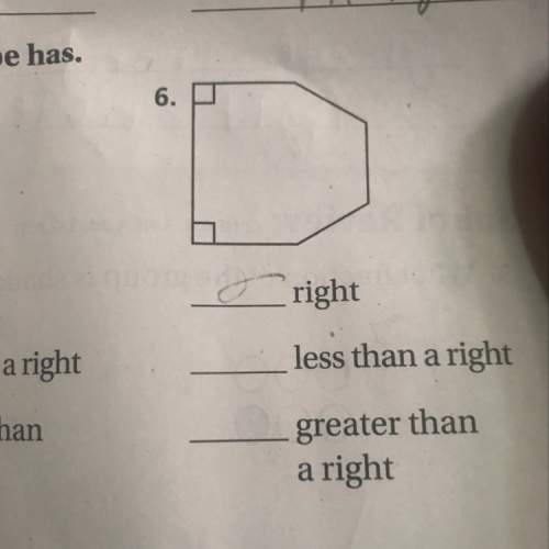 Write how many of each type of angle the shape has?
