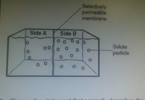 Choose the statement that correctly describes the diagram.a. side b has a higher concent