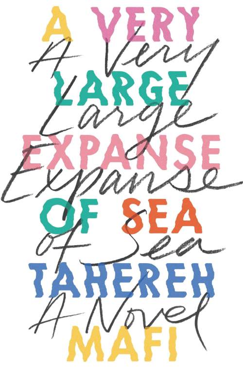 What is shirin's last name in the novel 'a very large expanse of sea? '