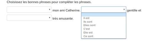 Now french fill in the 3  les adjectifs qui precedent le nom. choisissez les bonnes phra