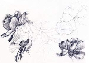 The pic with the flowers 1. this drawing was made using what natural resource a. clay