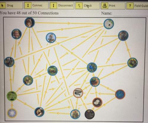 Ihave two connections letf to do for the food web, someone tell me which
