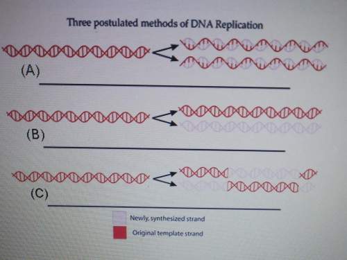 The meselson-stahl experiment demonstrated that dna replication is semiconservative. in the figure,