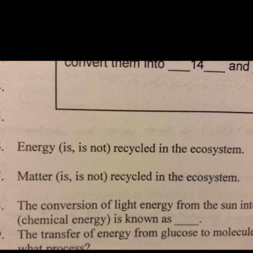 Answer whether energy or matter is or is not.