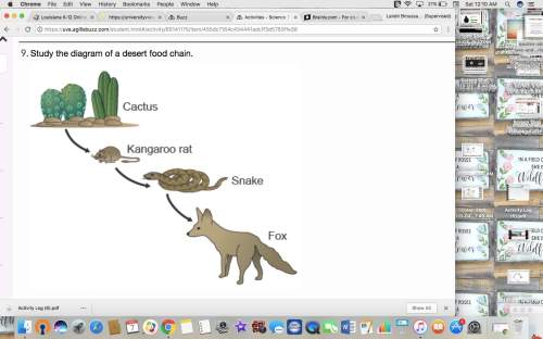 Study the diagram of a desert food chain. what would most likely happen if the kangaroo rats were ki