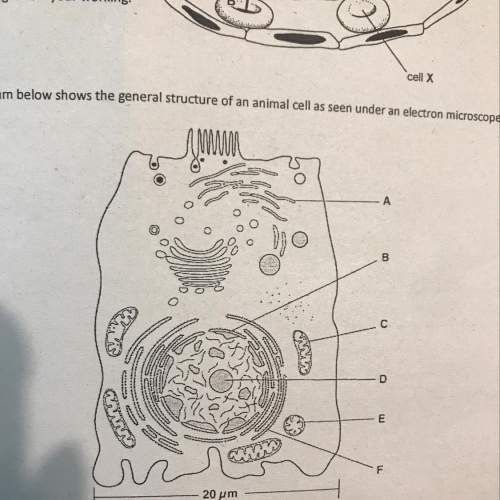 5. the diagram below shows the general structure of an animal cell as seen under an electron microsc