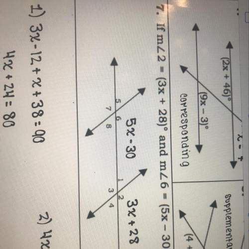 Can someone just tell me how to set this up. i need to find the measurements of all the angles. no n