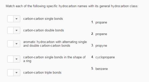 Match each of the following specific hydrocarbon names with its general hydrocarbon class.. with pic