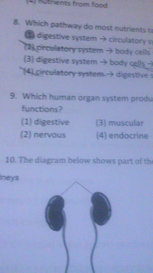 Which human organ system produces most of the hormones that regulate body functions?