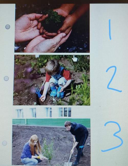 Which image is the best choice for convincing high school students to plant a tree on earth day?