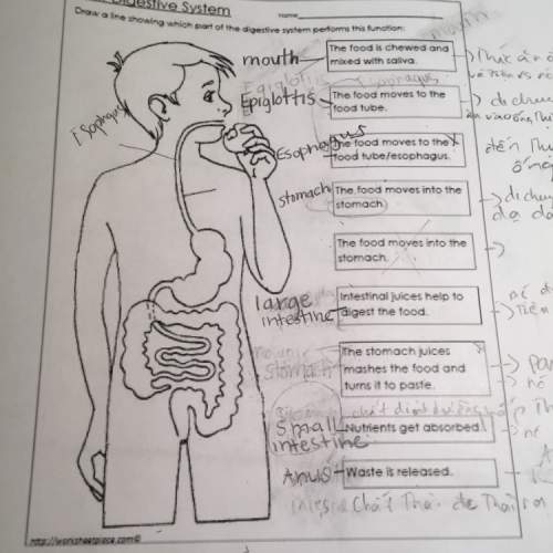 Ineed with my anatomy homework