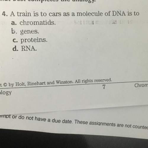 Atrain is to cars as a molecule of dna is to