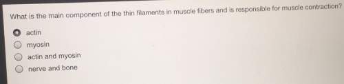 What is the main component of the thin filaments in muscle fibers and is responsible for muscle cont