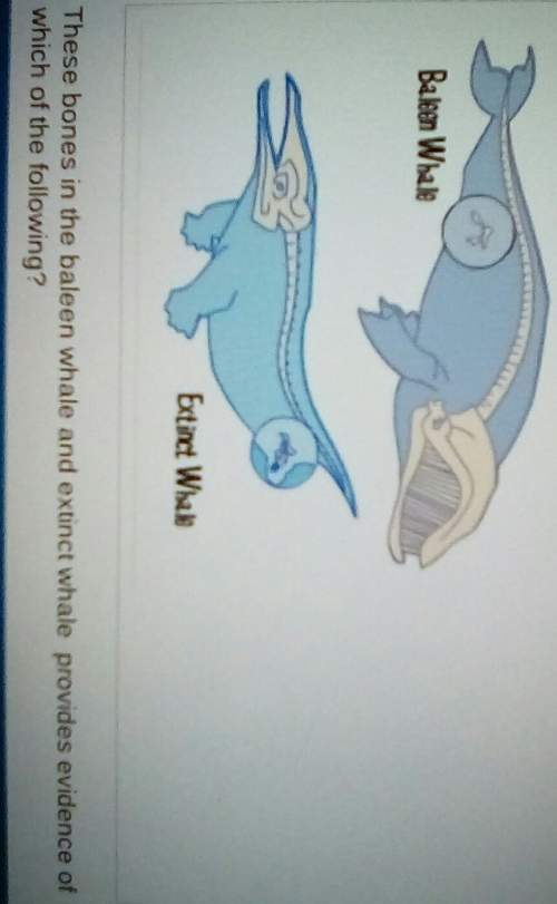 Can i have some answersa) whales can travel on land when necessary.b) whale
