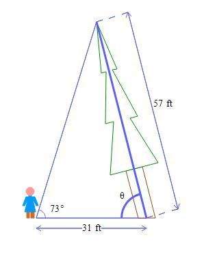 As shown in the figure below, mary is standing 31 feet from the base of a leaning tree. the length o