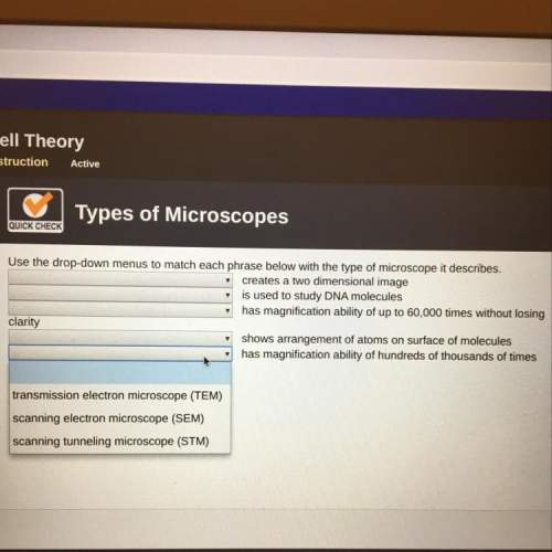 Quick check use the drop-down menus to match each phrase below with the type of microscope it