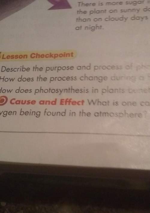 Describe the purpose and process of photosynthesis