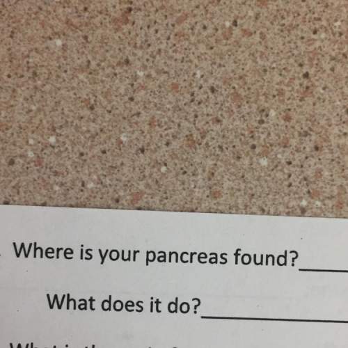 What is your pancreas and what does it do