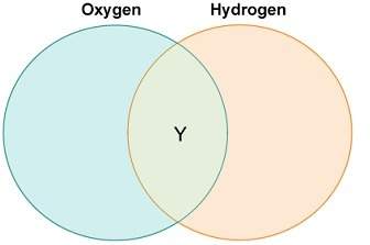 Carla drew a diagram to compare the roles of oxygen and hydrogen in photosynthesis.  whi