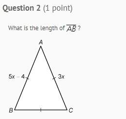 What is the length will mark brainlst and 20 etra points just give me the answer plz dont tell me ho