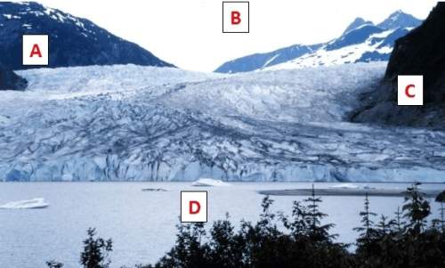 In this image of mendenhall glacier, alaska, where would you most likely find lateral moraines?