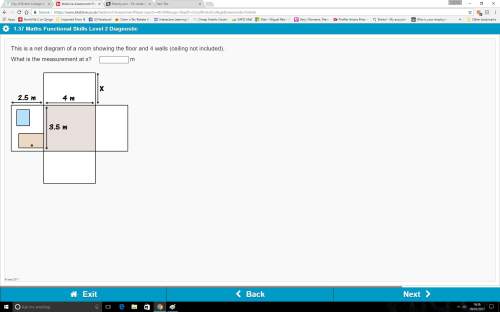 This is a net diagram of a room showing the floor and 4 walls (ceiling not included).what is the mea