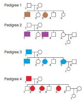 Each of the four pedigrees that follow represents a human family within which a genetic disease is s