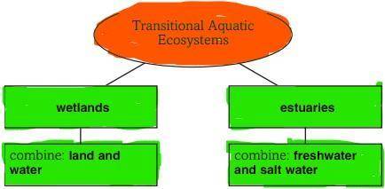 Compare transitional aquatic ecosystems. Identify two types in the organizer below and describe the
