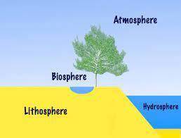 Which statement is true of the many parts of the biosphere?* O A. Each part includes salt water. O B