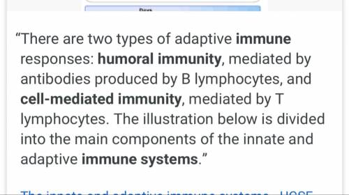 What immune system consists of immunity and humoral immunity