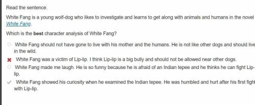 Read the sentence.

White Fang is a young wolf-dog who likes to investigate and learns to get along
