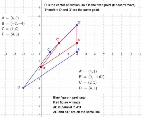 Quadrilateral ABC D is the result of dilating quadrilateral ABC D about the point D buy a scale fact