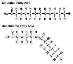 The chemical activity of some types of fats is determined by whether the molecules have many double